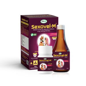Home sexovel m